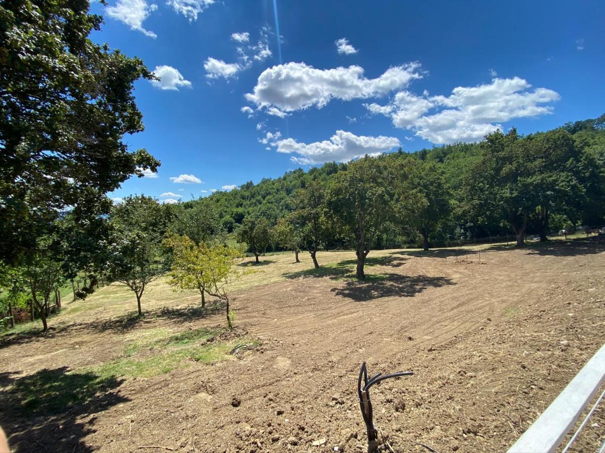 סקרפריה Podere Badia Valdrago Agriturismo Mugello Circuit מראה חיצוני תמונה