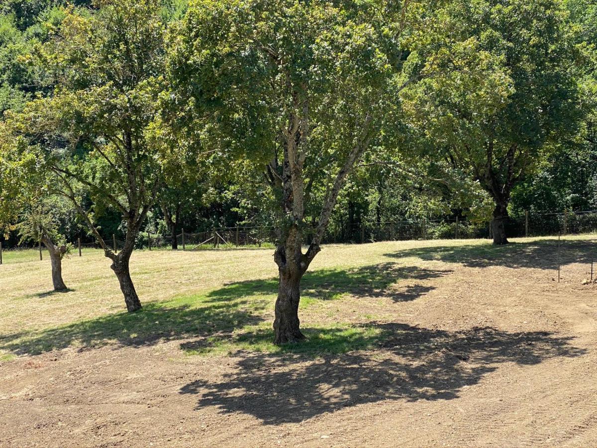 סקרפריה Podere Badia Valdrago Agriturismo Mugello Circuit מראה חיצוני תמונה