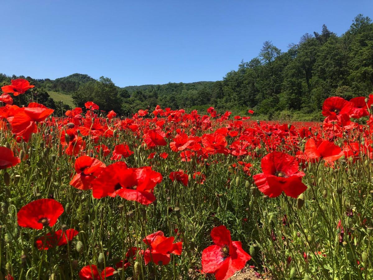 סקרפריה Podere Badia Valdrago Agriturismo Mugello Circuit מראה חיצוני תמונה