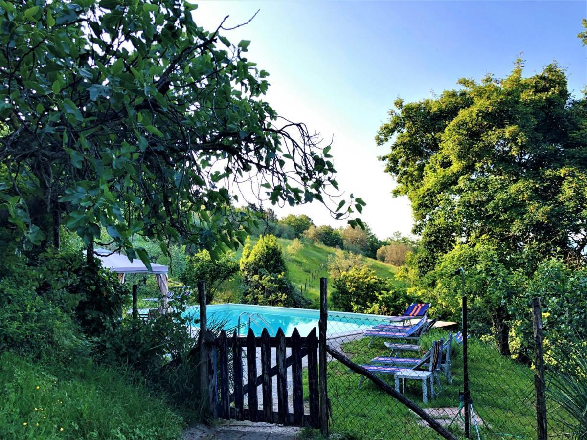 סקרפריה Podere Badia Valdrago Agriturismo Mugello Circuit מראה חיצוני תמונה