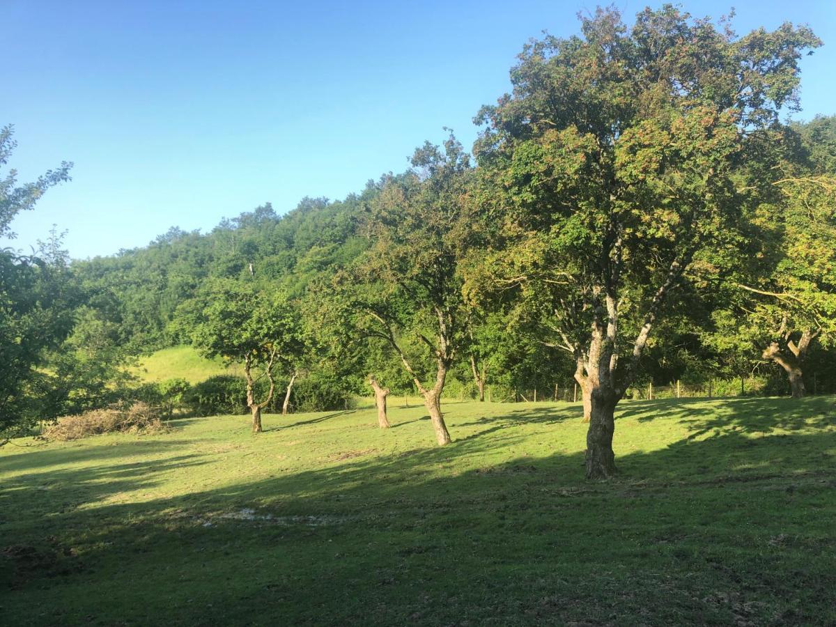 סקרפריה Podere Badia Valdrago Agriturismo Mugello Circuit מראה חיצוני תמונה